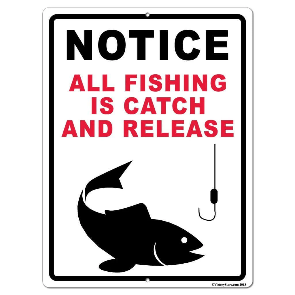 All Fishing is Catch and Release Sign or Sticker - Image 2