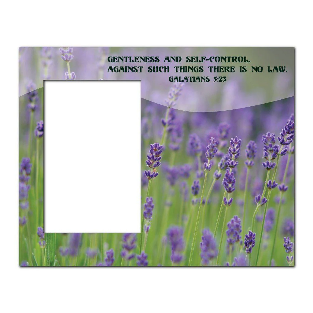Galatians 5:23 Decorative Picture Frame - Image 2