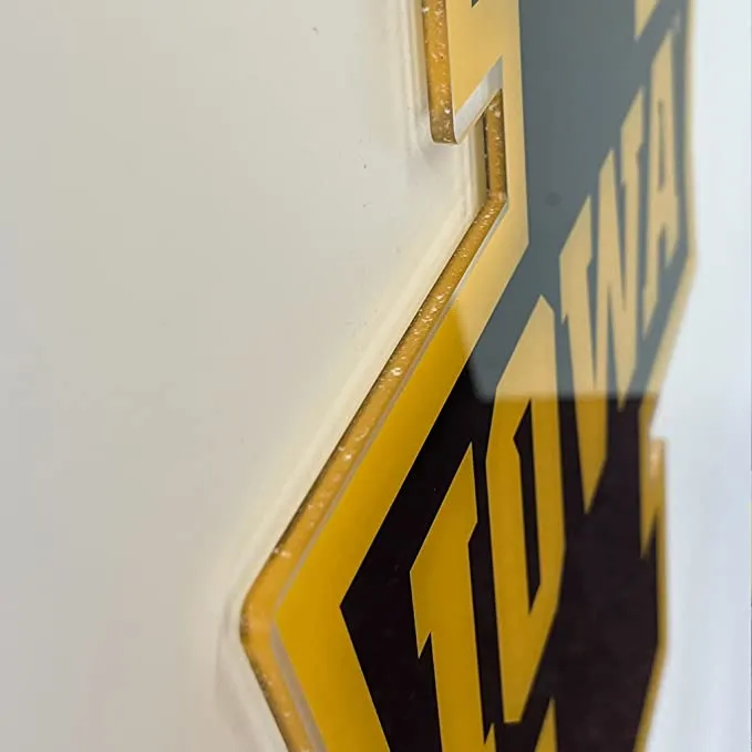 Iowa Hawkeyes Wall Art - Image 4