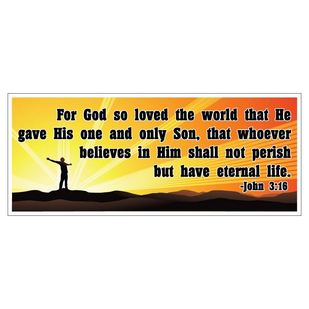 John 3:16 Bumper Magnet Pair 3.75 x 9 - Image 2