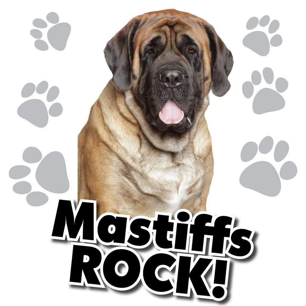 Mastiffs Rock! White T-Shirt - Image 2
