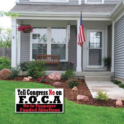 No on F.O.C.A. ProLife 2-Pack 12"x24" Yard Sign