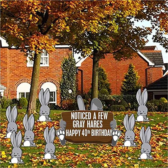 Noticed A Few Gray Hares Happy 40th Birthday Birthday Yard Cards, 9 pc Set
