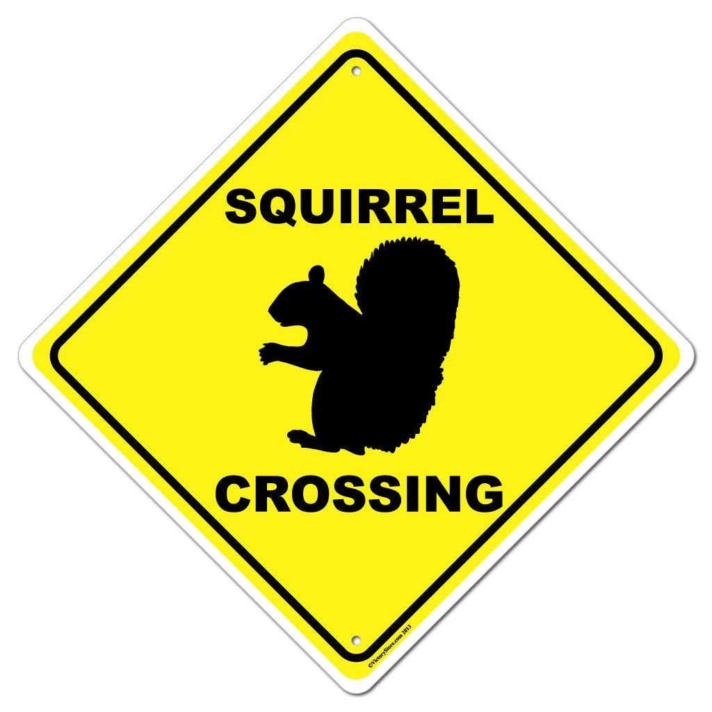 Squirrel Crossing Sign or Sticker - Image 4