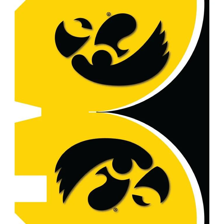 University of Iowa Tigerhawk Magnetic Mailbox Cover - Image 2