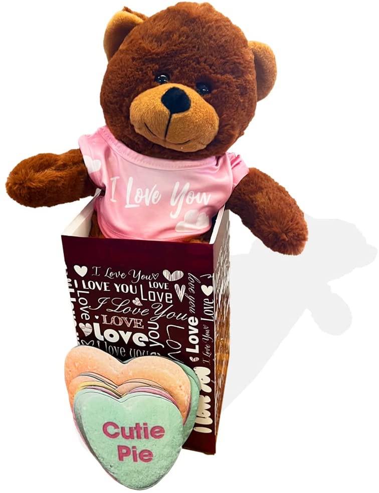 Valentine Gift Box: Plush Stuffed Bear with Candy Heart Magnets