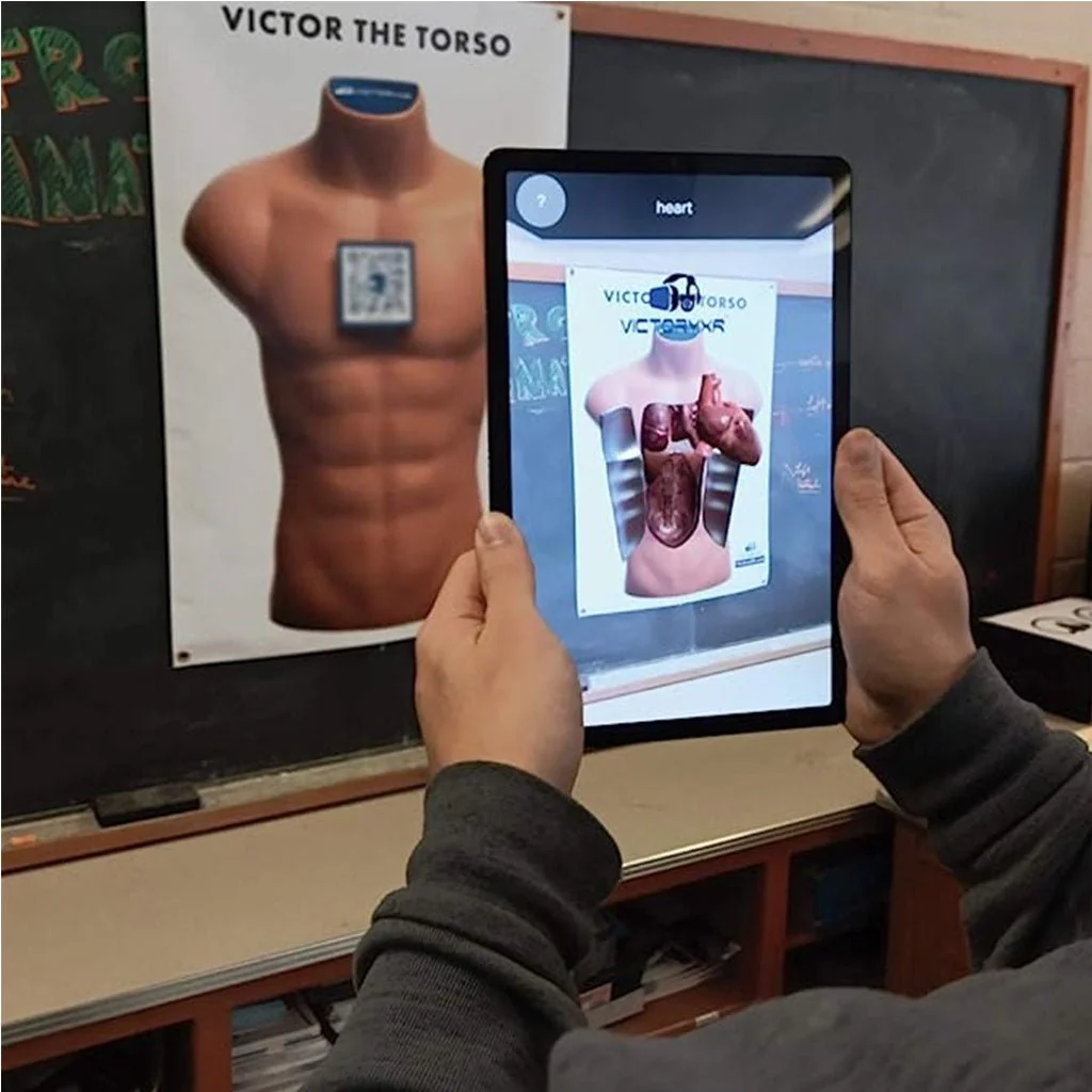 Victor The Torso: Human Anatomy Augmented Reality Learning Package (2D Banner) - Image 4